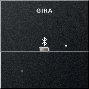  артикул 2287005 название Gira Адаптер Apple Lightning для вставки док-станции¶