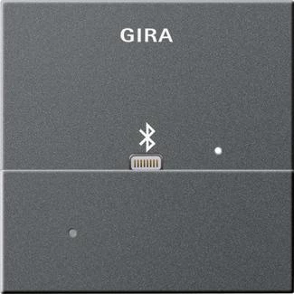 артикул 228728 название Gira Адаптер Apple Lightning для вставки док-станции